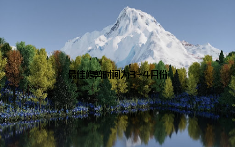 最佳修剪时间为3-4月份