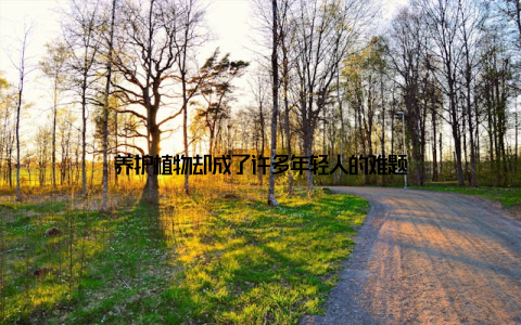 养护植物却成了许多年轻人的难题