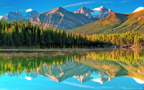 也可用剪刀剪下成熟的果实