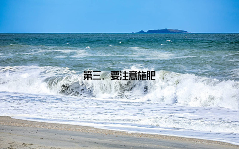 第三, 要注意施肥