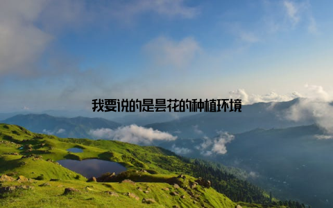 我要说的是昙花的种植环境