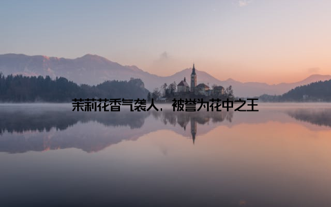 茉莉花香气袭人, 被誉为花中之王