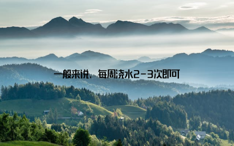 一般来说, 每周浇水2-3次即可