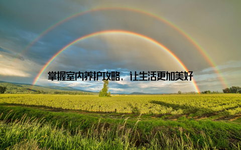 掌握室内养护攻略, 让生活更加美好