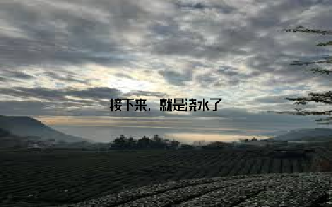 接下来, 就是浇水了