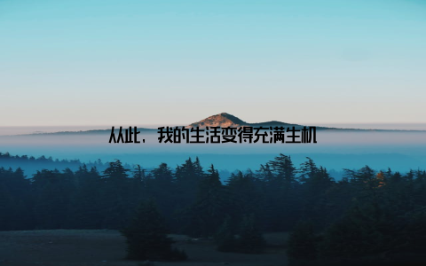 从此, 我的生活变得充满生机