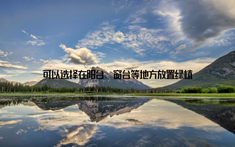 可以选择在阳台、窗台等地方放置绿植