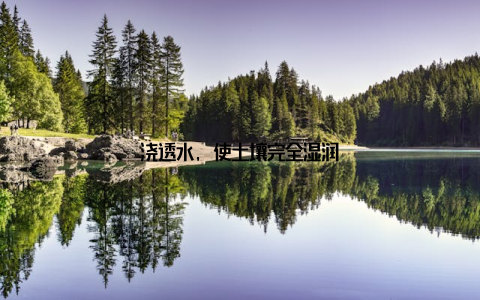 浇透水, 使土壤完全湿润