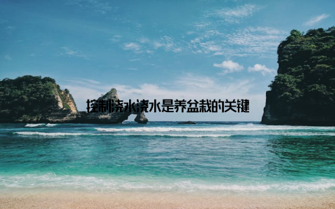 控制浇水浇水是养盆栽的关键