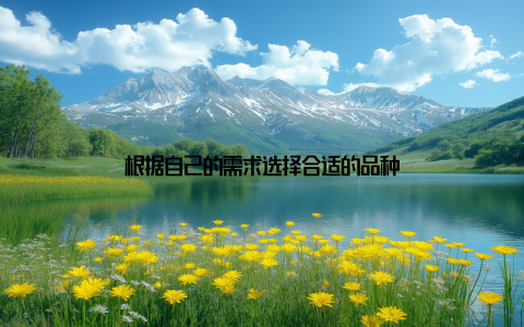 根据自己的需求选择合适的品种