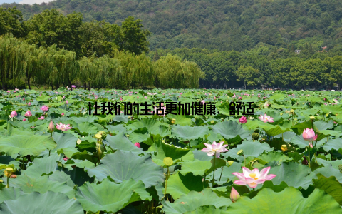 让我们的生活更加健康、舒适