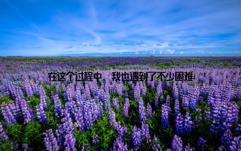 在这个过程中, 我也遇到了不少困难