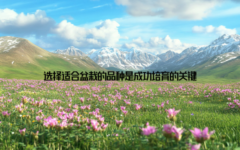 选择适合盆栽的品种是成功培育的关键