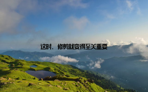 这时, 修剪就变得至关重要