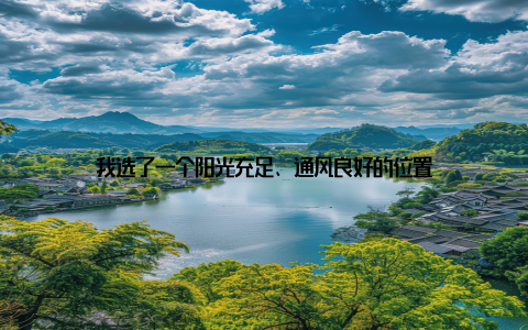 我选了一个阳光充足、通风良好的位置