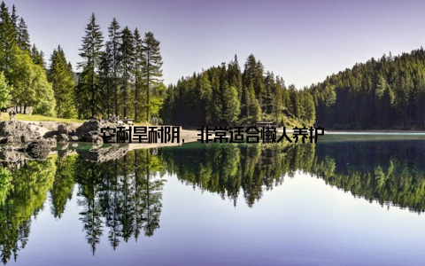 它耐旱耐阴, 非常适合懒人养护