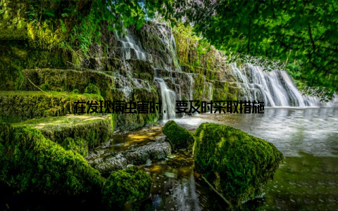 在发现病虫害时, 要及时采取措施