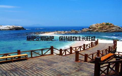 施肥定期施肥, 保持植物生长旺盛