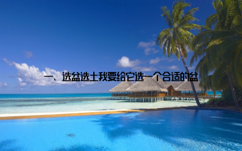 一、选盆选土我要给它选一个合适的盆