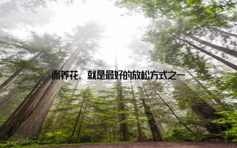 而养花, 就是最好的放松方式之一