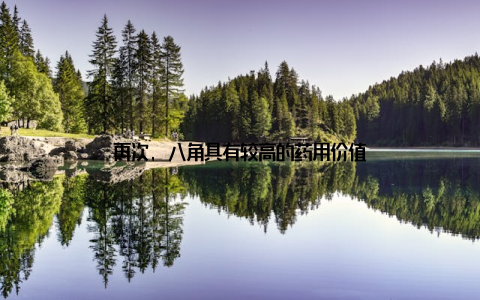 再次, 八角具有较高的药用价值