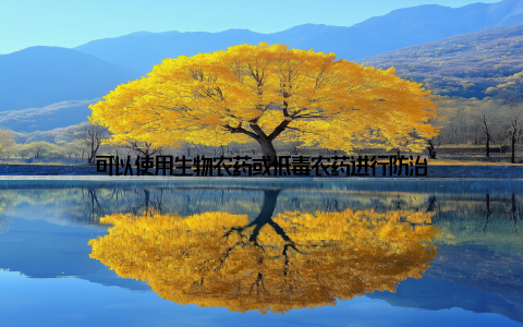 可以使用生物农药或低毒农药进行防治