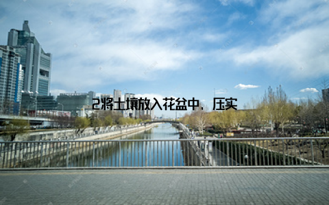 2将土壤放入花盆中, 压实