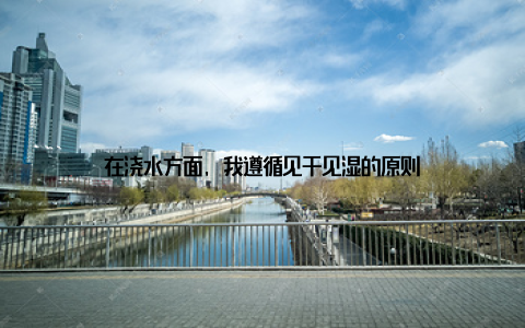 在浇水方面, 我遵循见干见湿的原则