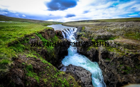 我从了解各种室内盆栽的习性开始