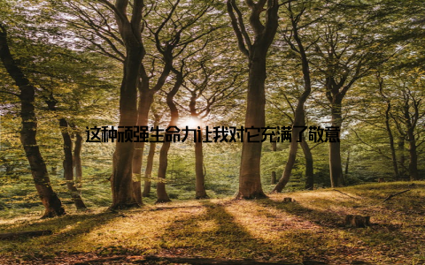 这种顽强生命力让我对它充满了敬意