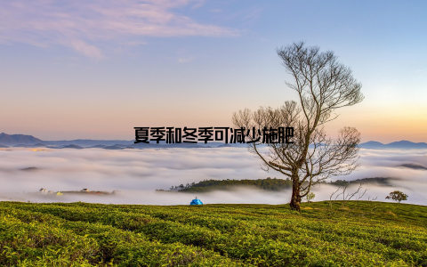 夏季和冬季可减少施肥