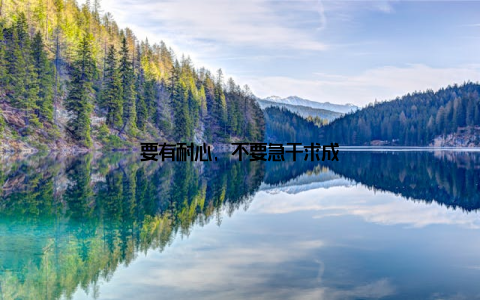 要有耐心, 不要急于求成