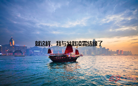 就这样, 我与盆栽凌霄结缘了