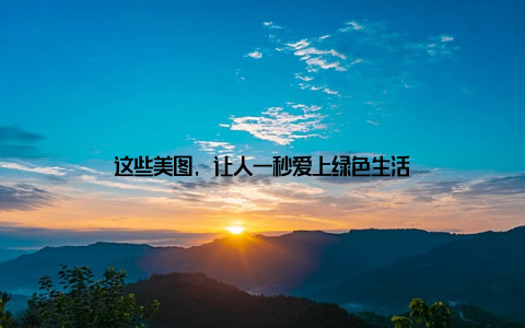 这些美图, 让人一秒爱上绿色生活