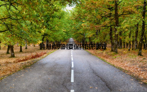 注意修剪时要保持树形美观