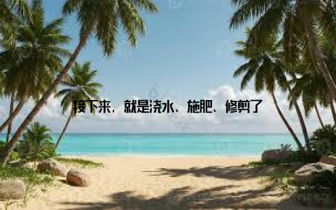 接下来, 就是浇水、施肥、修剪了