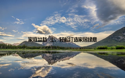 家庭盆栽 土, 轻松打造家居绿意