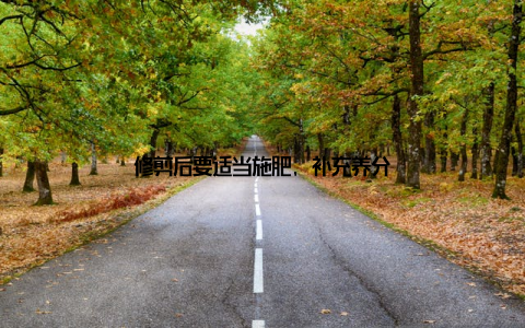 修剪后要适当施肥, 补充养分