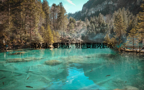 浇水时, 要浇透, 但也要避免积水