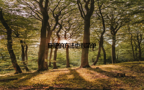 施肥的方法也很简单