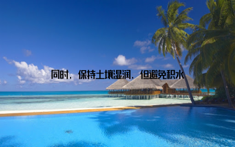 同时, 保持土壤湿润, 但避免积水