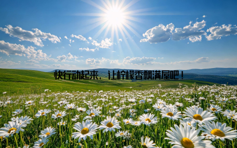 快行动起来, 让柠檬香飘满屋吧!