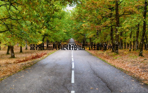 营养土应具有良好的透气性和保水性