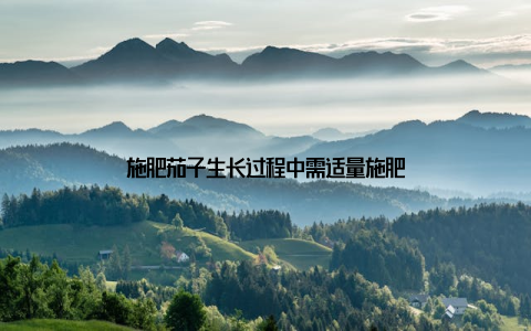 施肥茄子生长过程中需适量施肥