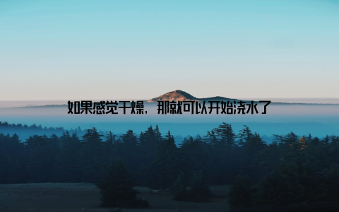 如果感觉干燥, 那就可以开始浇水了