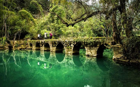 此外, 还要给无花果施点肥料