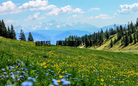 修剪后, 用园艺剪将残枝剪平