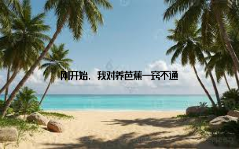 刚开始, 我对养芭蕉一窍不通