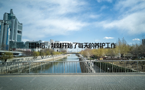 播种后, 我就开始了每天的养护工作
