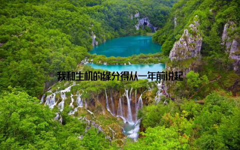 我和生机的缘分得从一年前说起